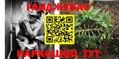 ГАЛЛЮЦИНОГЕННЫЕ ГРИБЫ Шебекино