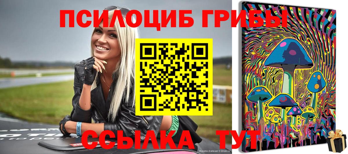 Галлюциногенные грибы Cubensis  Вход с VPN  Галлюциногенные грибы ЛСД  Сызрань 